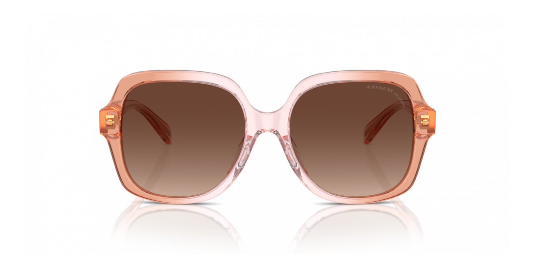 Lentes de Sol Coach 0HC8395U Rosa