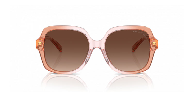 Lentes de Sol Coach 0HC8395U Rosa