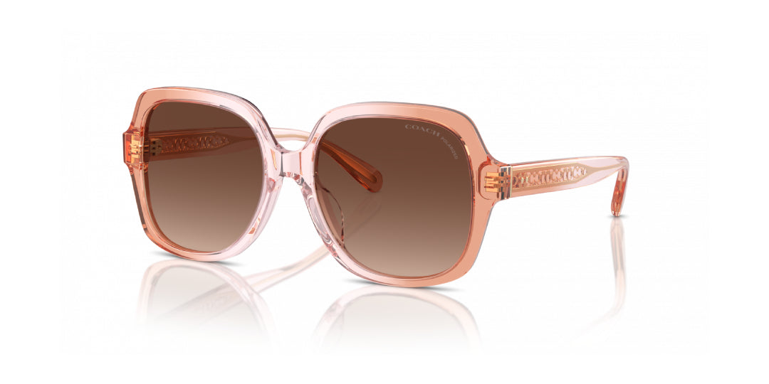 Lentes de Sol Coach 0HC8395U Rosa