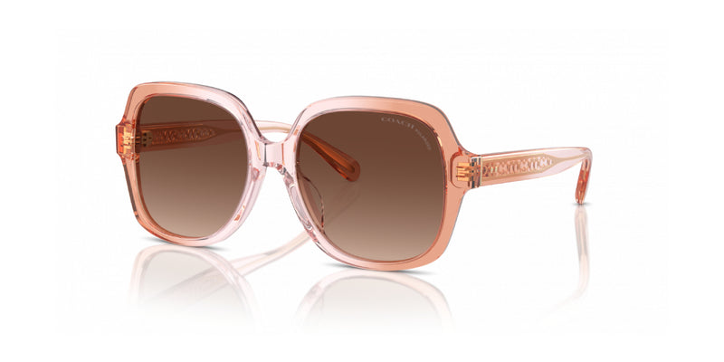 Lentes de Sol Coach 0HC8395U Rosa