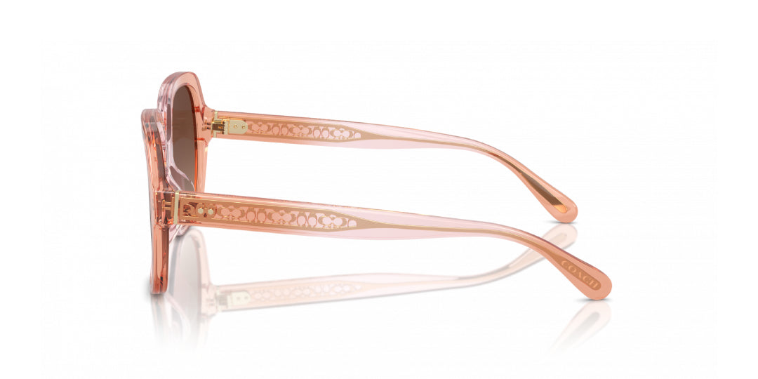 Lentes de Sol Coach 0HC8395U Rosa