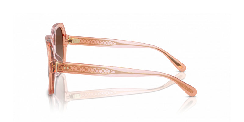 Lentes de Sol Coach 0HC8395U Rosa