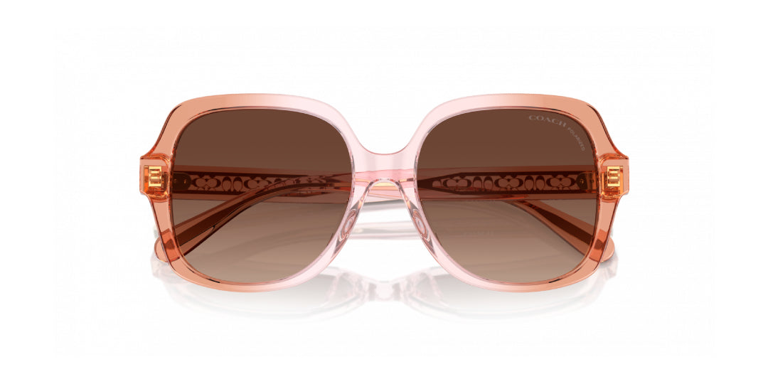 Lentes de Sol Coach 0HC8395U Rosa