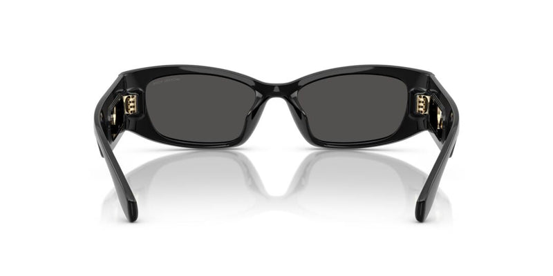 Lentes de Sol Michael Kors MK2243U Negro