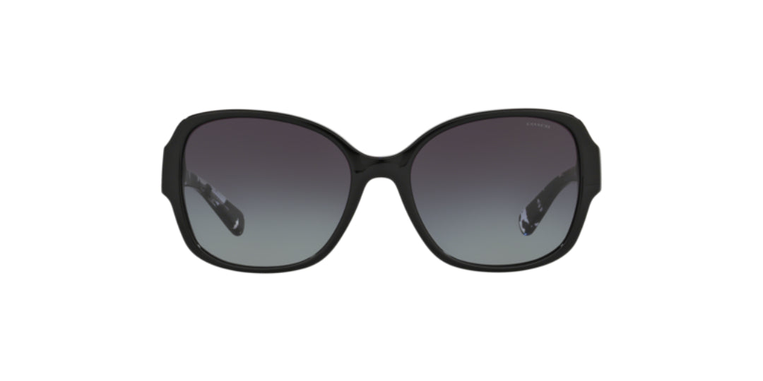 Lentes de Sol Coach 0HC8166 Negro