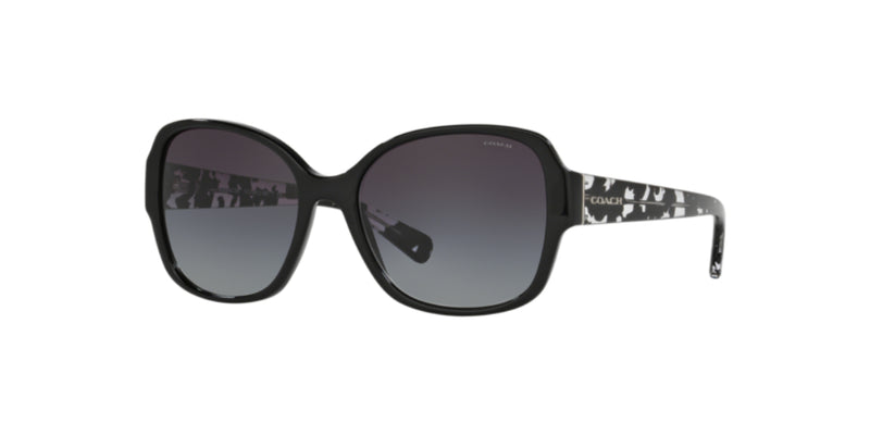 Lentes de Sol Coach 0HC8166 Negro