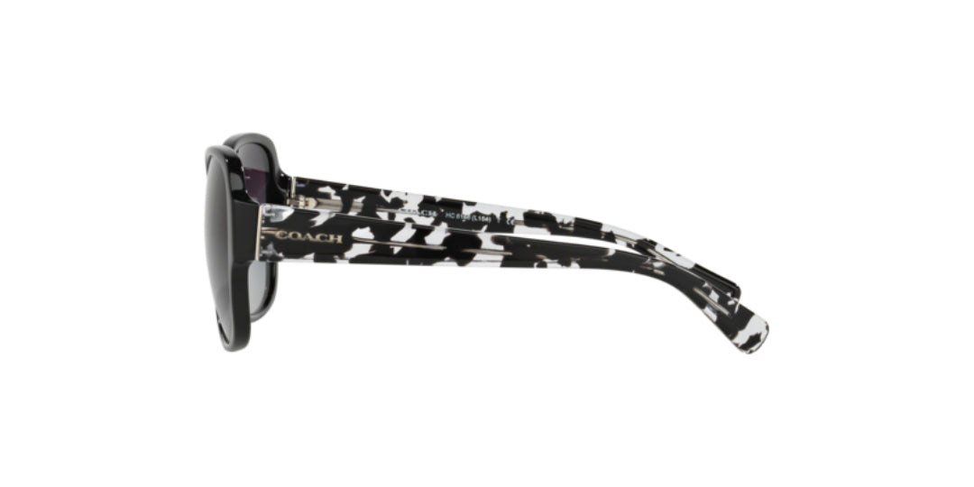 Lentes de Sol Coach 0HC8166 Negro