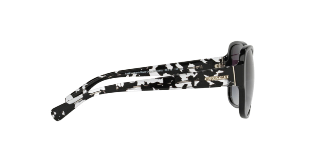 Lentes de Sol Coach 0HC8166 Negro
