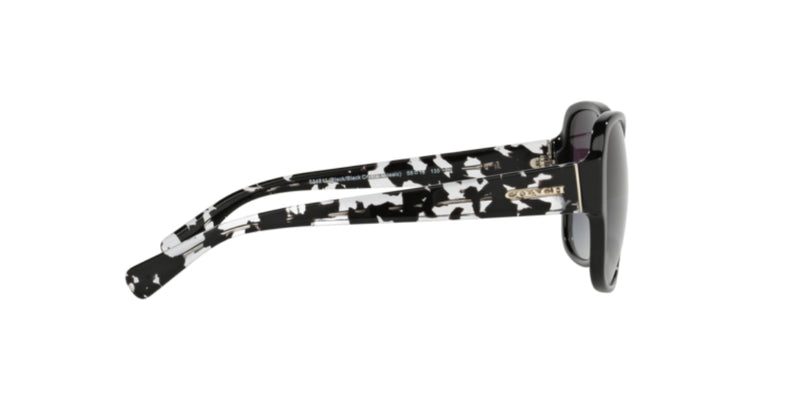 Lentes de Sol Coach 0HC8166 Negro