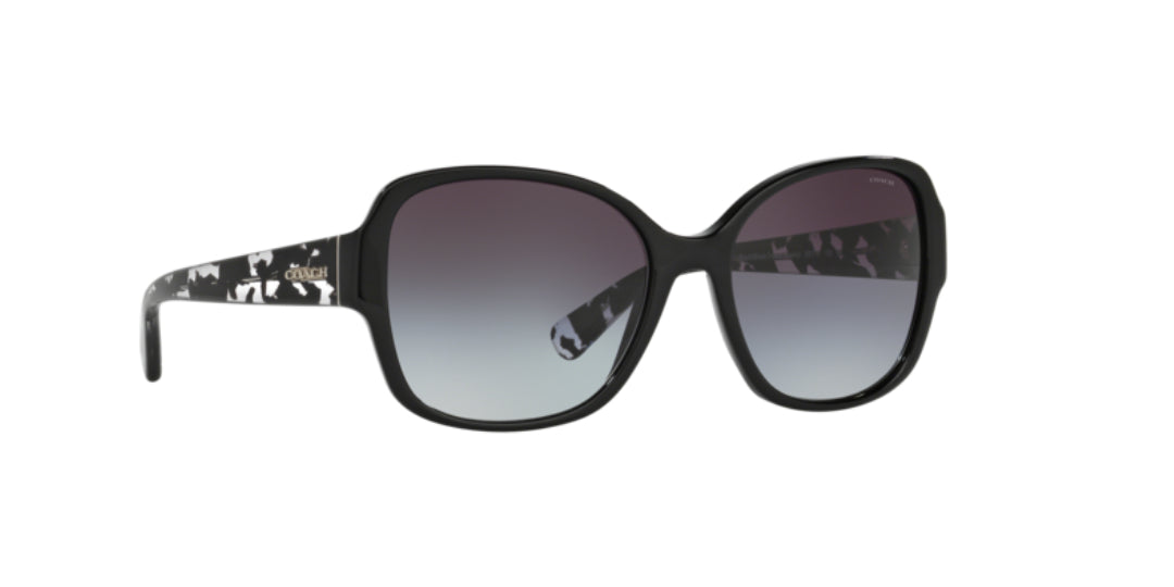 Lentes de Sol Coach 0HC8166 Negro