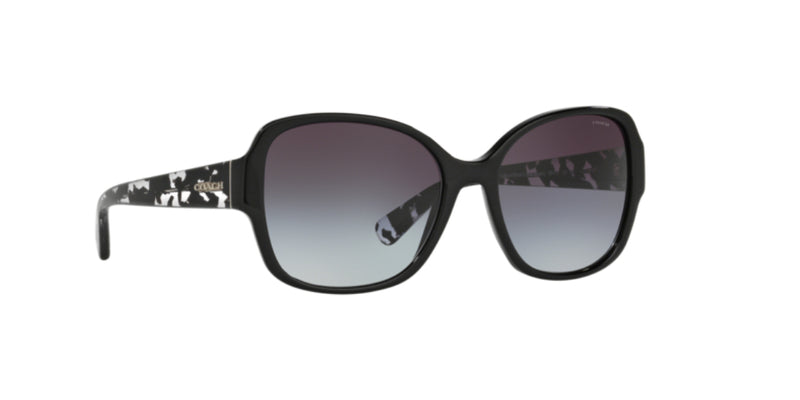 Lentes de Sol Coach 0HC8166 Negro