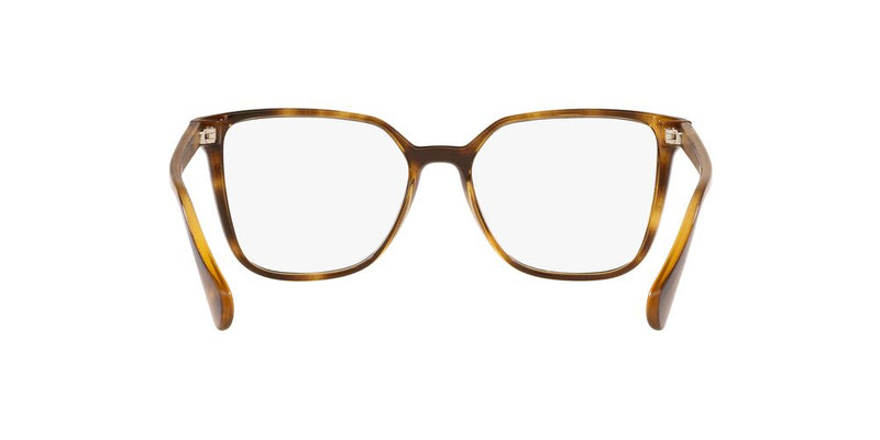 Lente Oftálmico Kipling KP3137 Havana