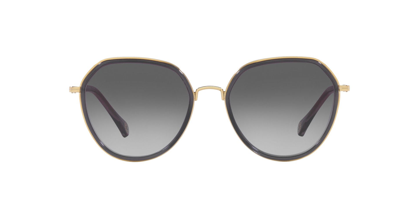 Lentes de Sol Kipling KP2026 Negro