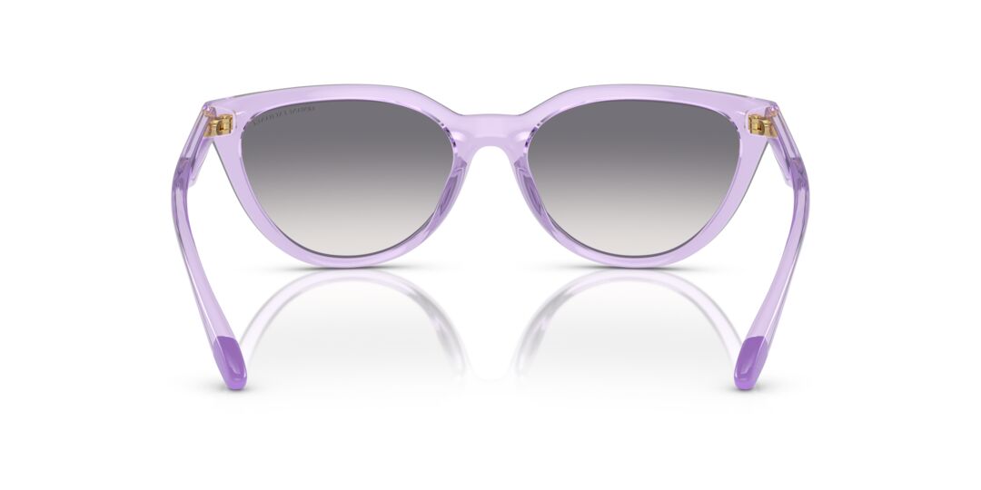 Lentes de Sol Armani Exchange AX4130SU Morado