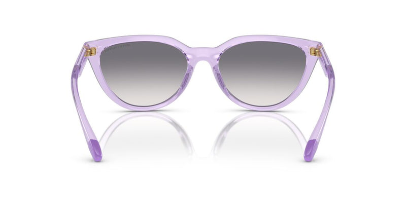 Lentes de Sol Armani Exchange AX4130SU Morado