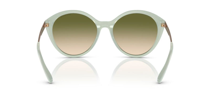 Lentes de Sol Armani Exchange AX4134S Verde