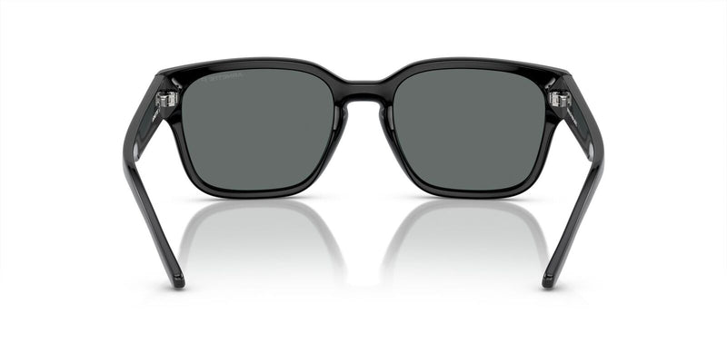 Lentes de Sol Arnette 0AN4325 Negro