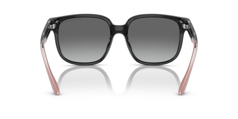 Lentes de Sol Armani Exchange 0AX4136SU Negro