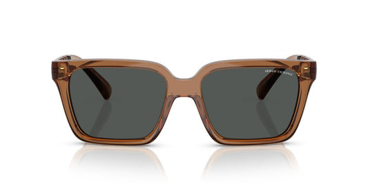Lentes de Sol Armani Exchange AX4147S Café