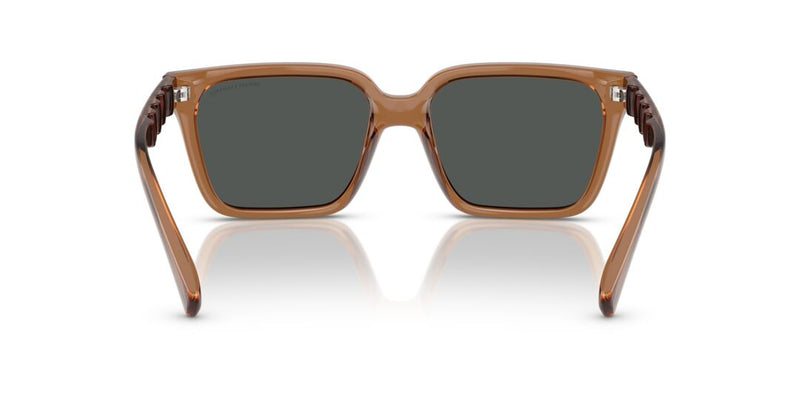 Lentes de Sol Armani Exchange AX4147S Café