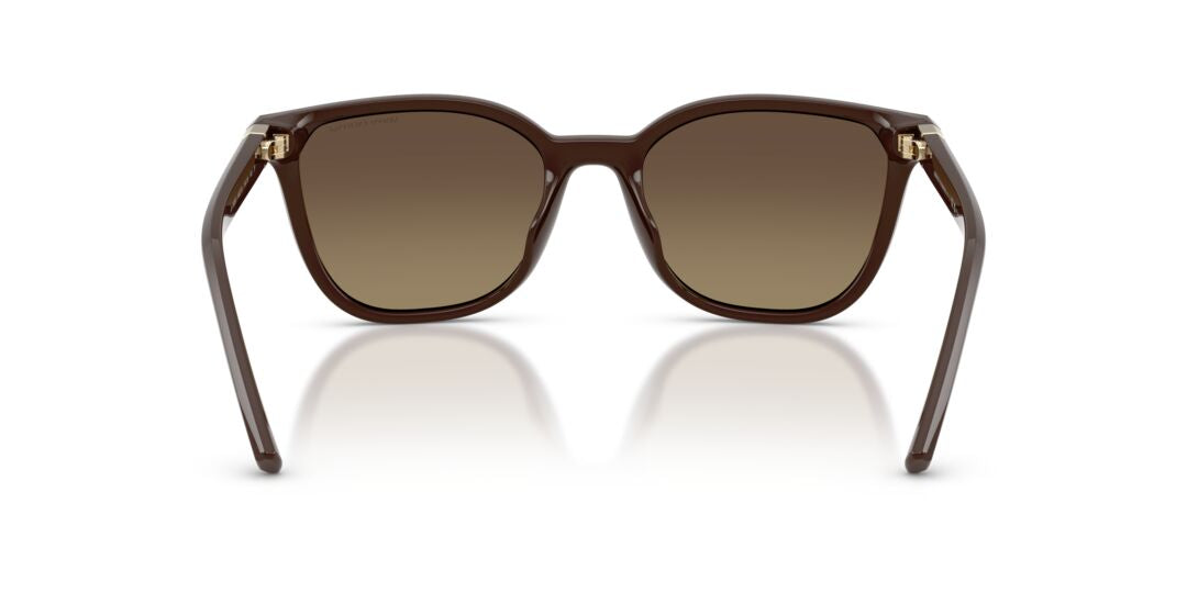 Lentes de Sol Armani Exchange 0AX4168SU Café