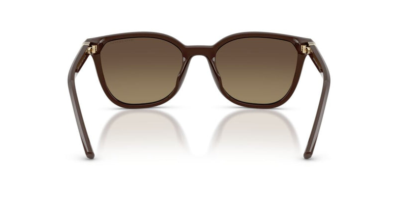 Lentes de Sol Armani Exchange 0AX4168SU Café