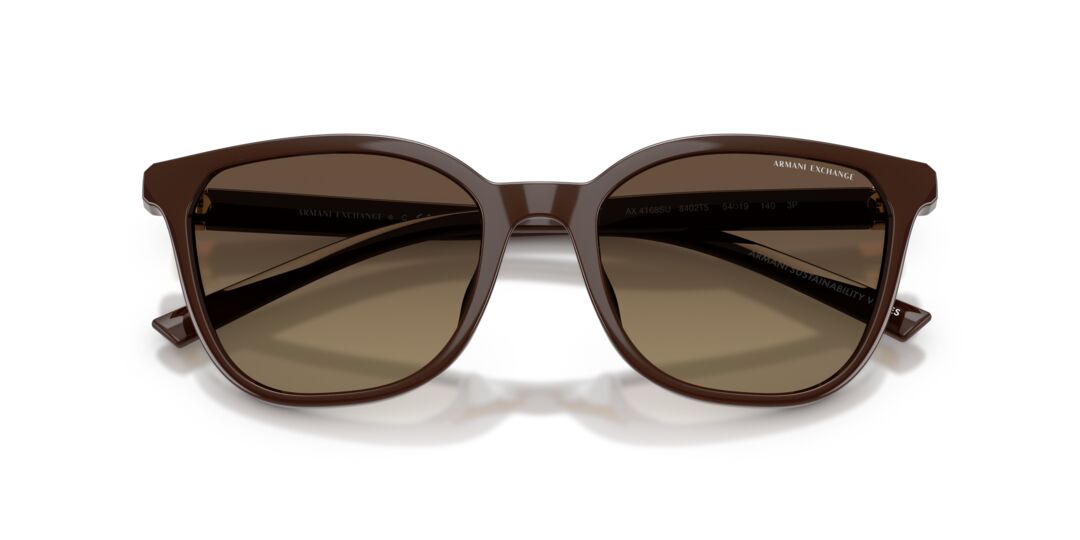 Lentes de Sol Armani Exchange 0AX4168SU Café