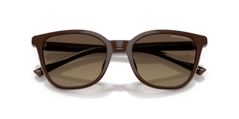 Lentes de Sol Armani Exchange 0AX4168SU Café