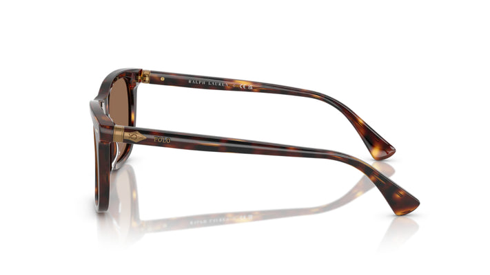 Lentes de Sol Polo Ralph PH4220U Havana