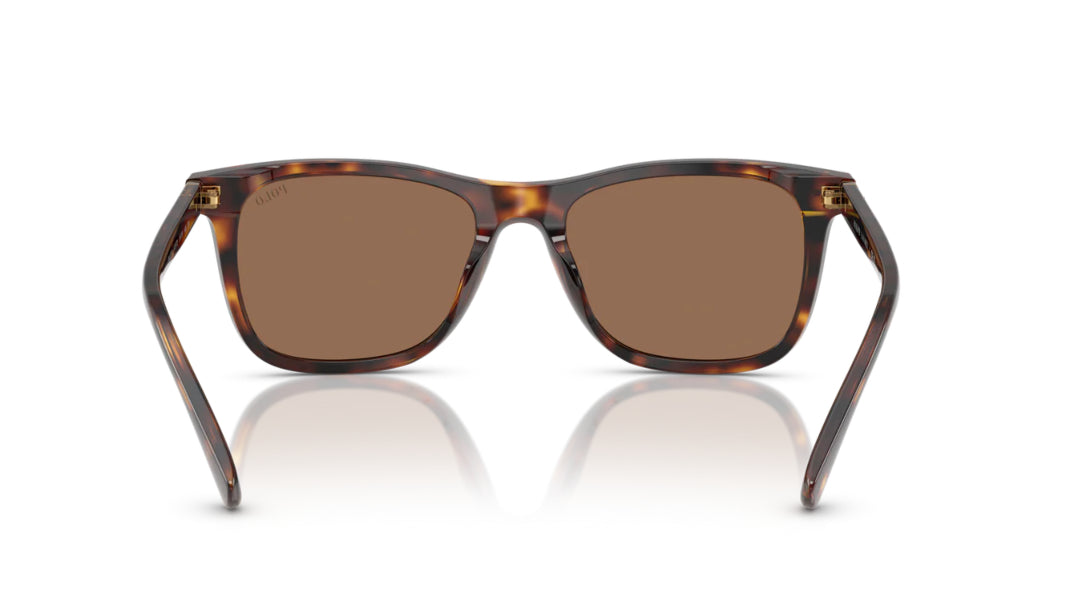 Lentes de Sol Polo Ralph PH4220U Havana