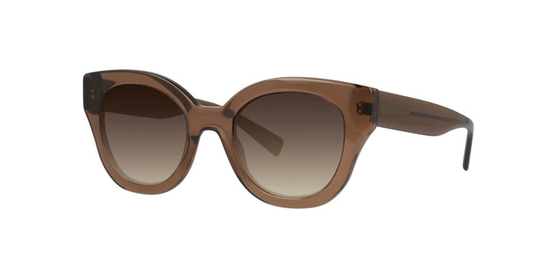 Lentes de Sol D By D DB4049 Café