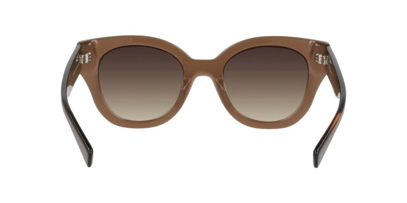 Lentes de Sol D By D DB4049 Café