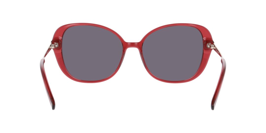 Lentes de Sol D By D 0DB4051 Vino