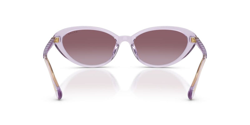Lentes de Sol Ralph Lauren RA5338U Transparente