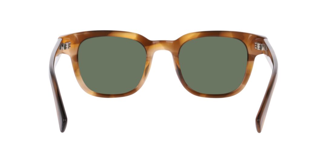Lentes de Sol D By D 0DB4053 Café