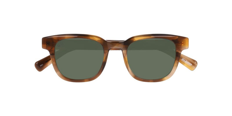 Lentes de Sol D By D 0DB4053 Café