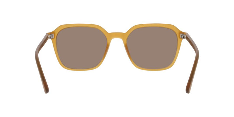 Lentes de Sol Seen 0NE6079 Beige