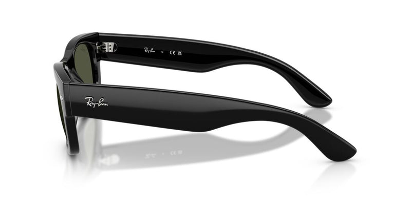 Lentes de Sol Ray Ban 0RB0832S Negro