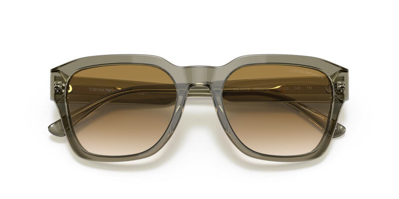 Lentes de Sol Emporio Armani 0EA4175 Verde