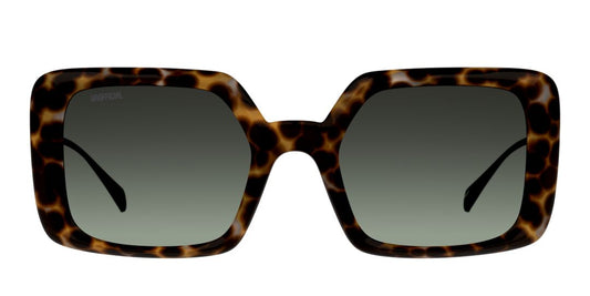 Lentes de Sol Unofficial UO6166 Havana