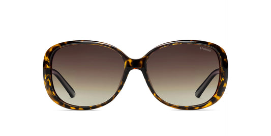Lentes de Sol Polaroid P8430 Havana