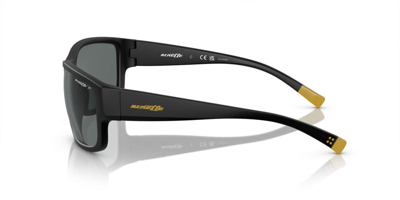 Lentes de Sol Arnette AN4256 Negro