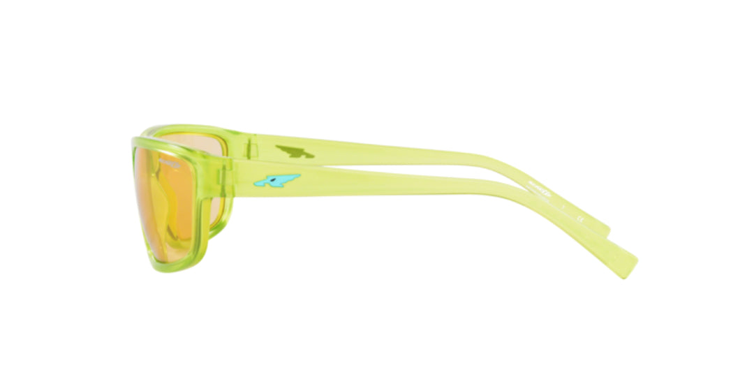 Lentes de Sol Arnette 0AN4259 Verde