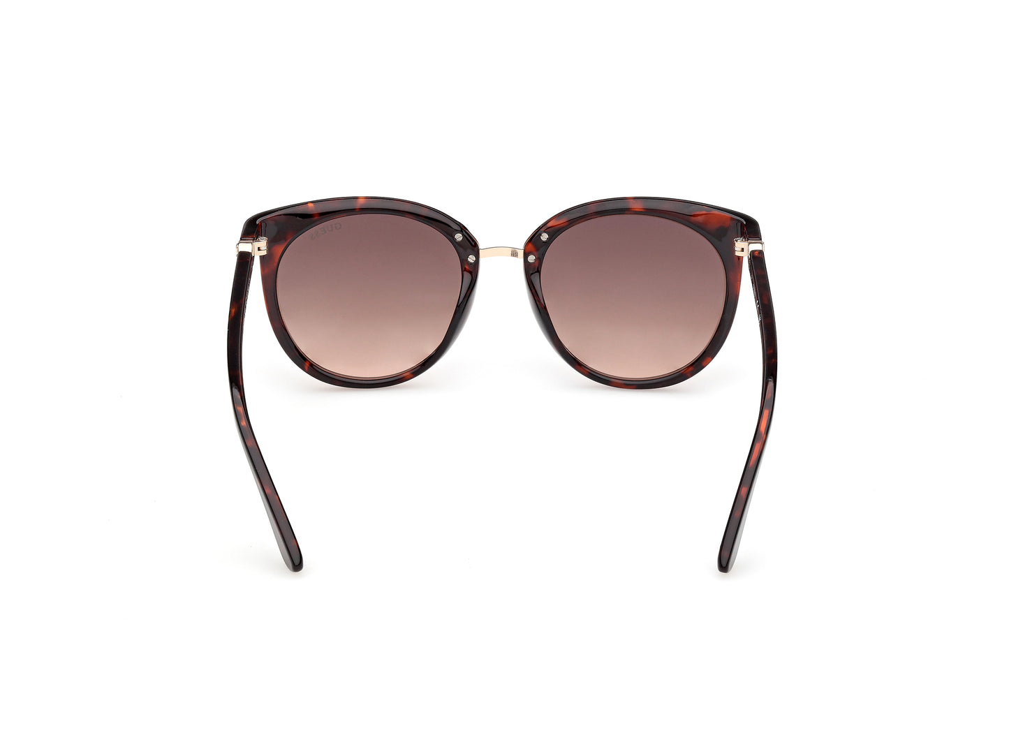 Lentes de Sol Guess GU00282 Havana