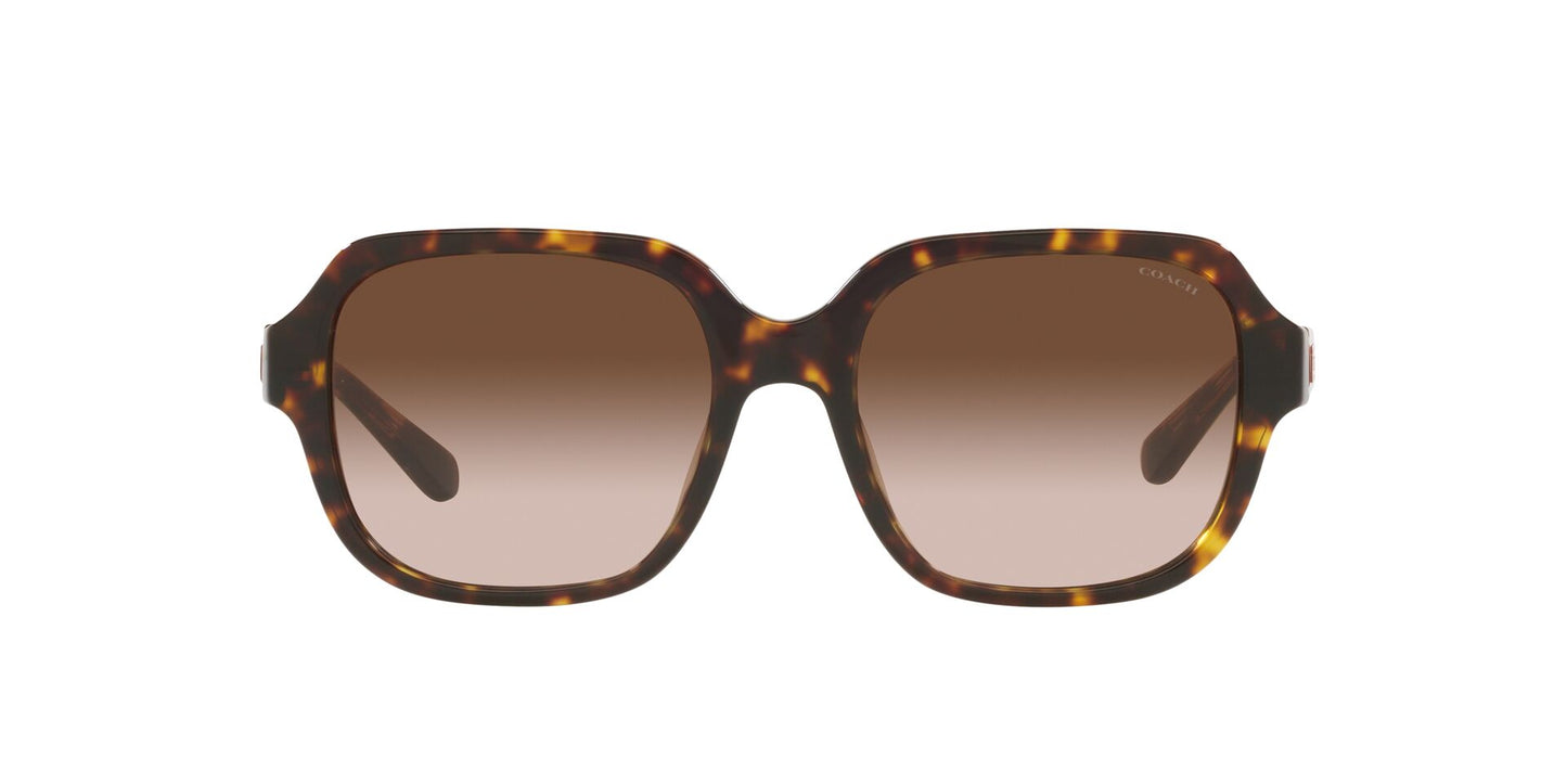Lentes de Sol Coach Havana HC8335U