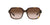Lentes de Sol Coach Havana HC8335U
