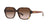 Lentes de Sol Coach Havana HC8335U