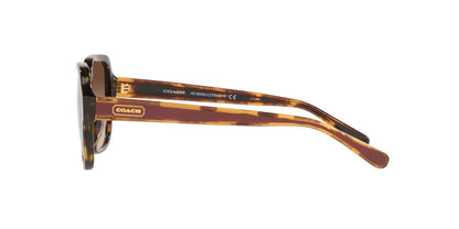 Lentes de Sol Coach Havana HC8335U