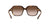 Lentes de Sol Coach Havana HC8335U