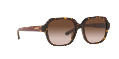 Lentes de Sol Coach Havana HC8335U